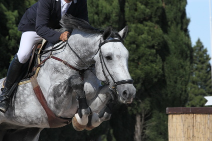 Kissing-Spines-Syndrom